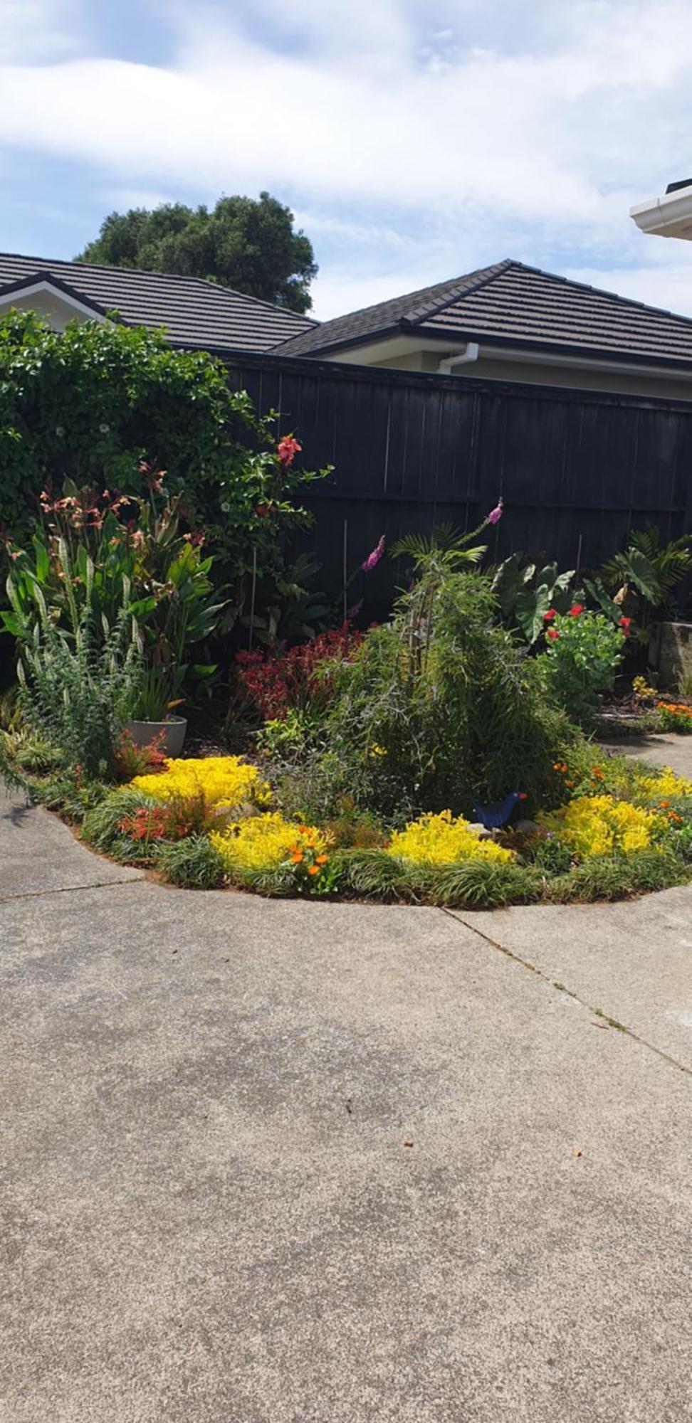 Warm & Welcome On Whiteley New Plymouth Exteriör bild